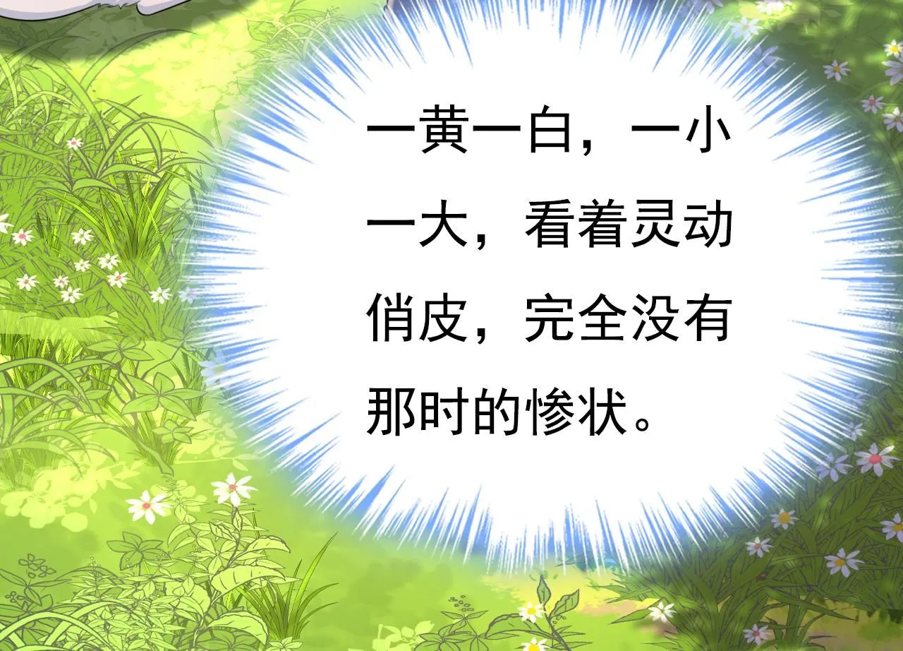 第621话 你居然会养猫？35