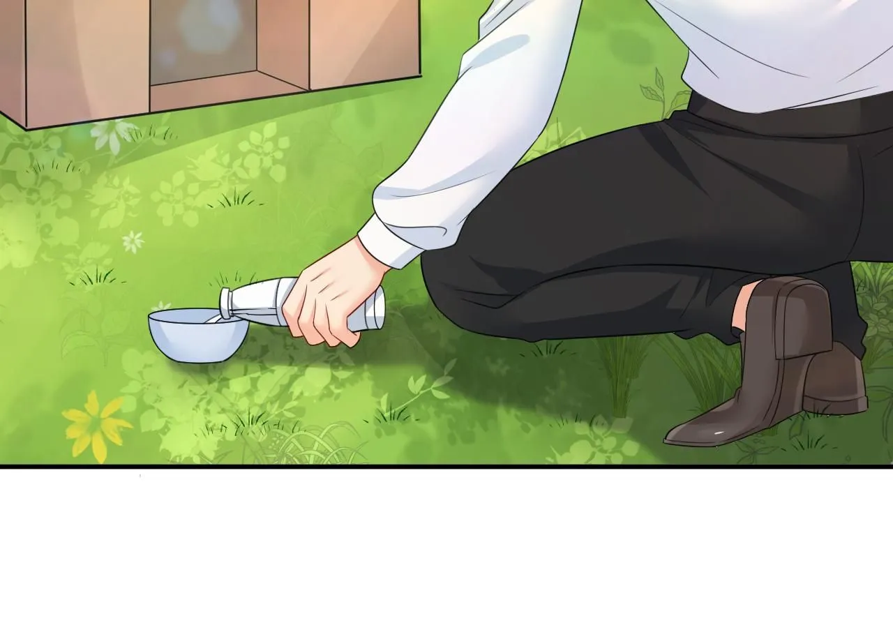 第621话 你居然会养猫？4