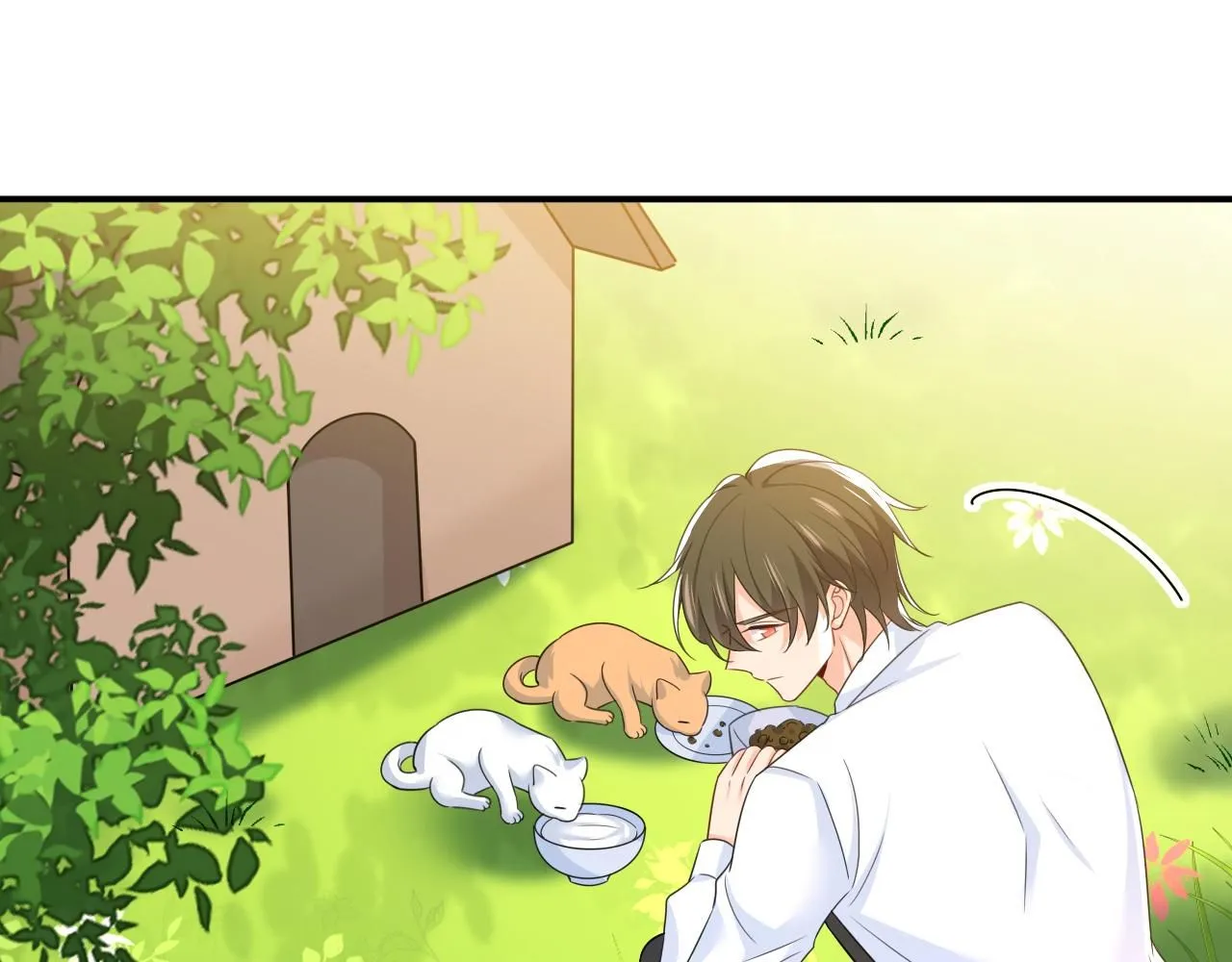 第621话 你居然会养猫？17