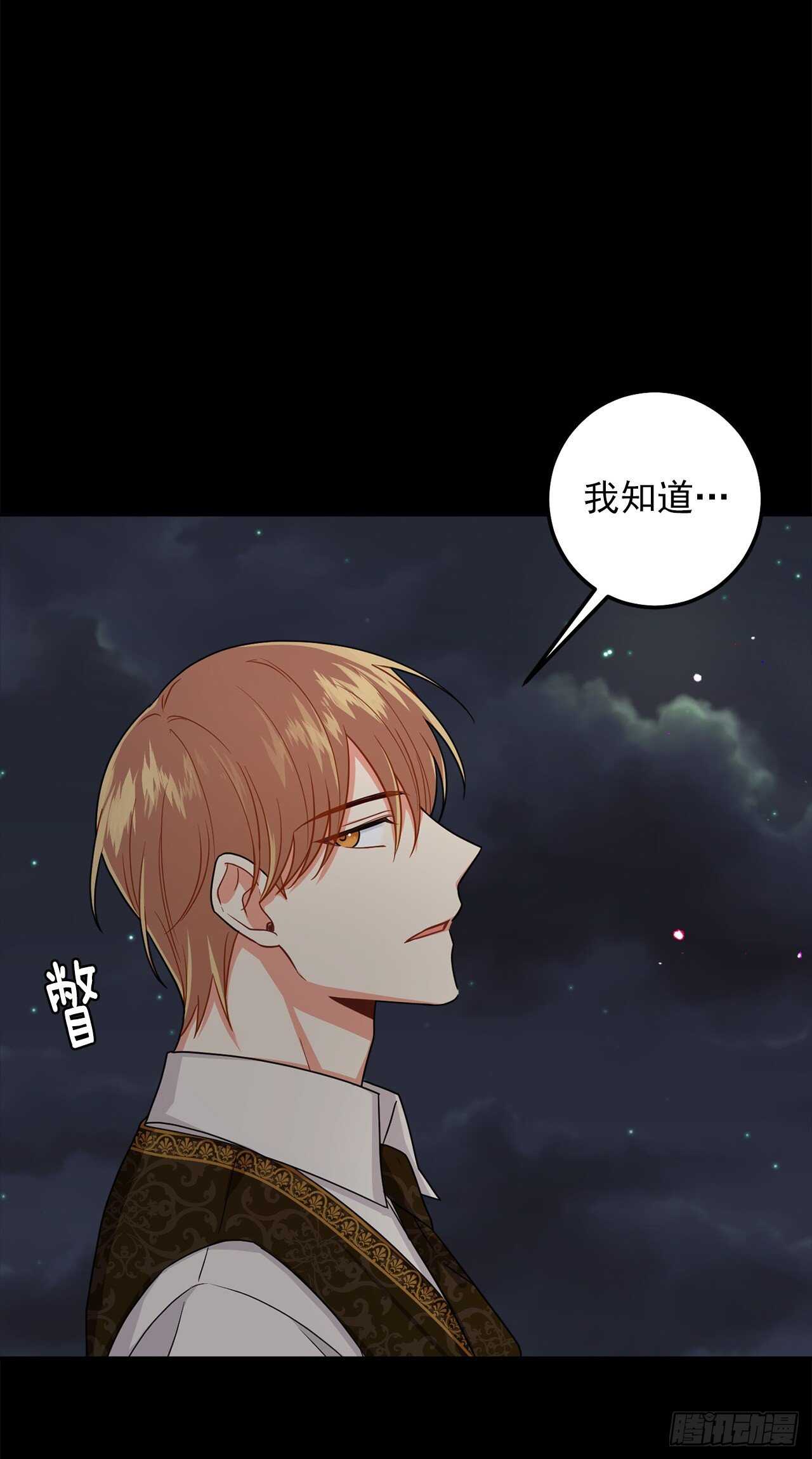 177.我能重新做您的骑士吗35