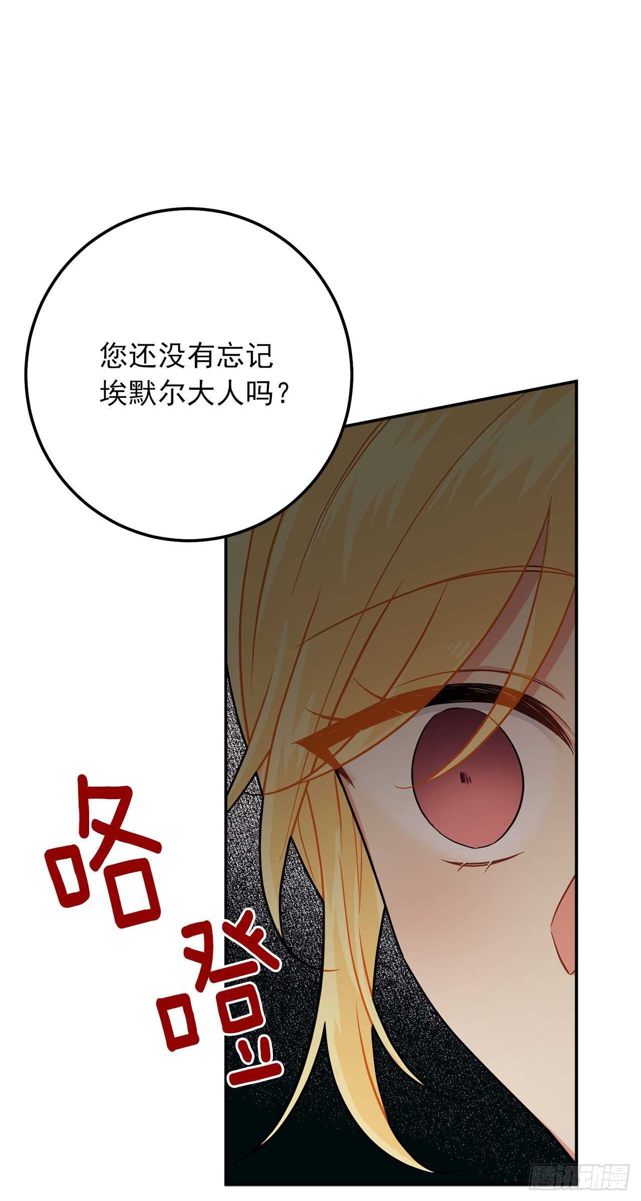 166.你还没有忘记埃默尔吗？29
