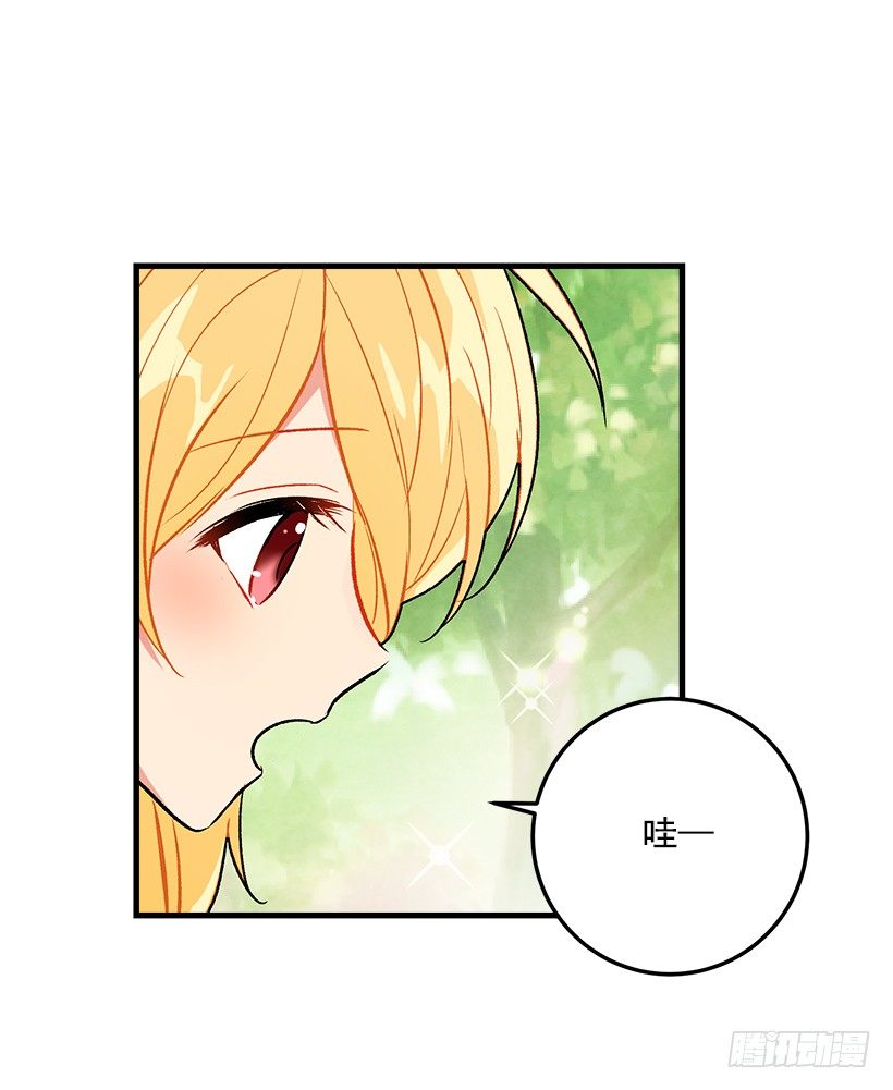 精灵石40