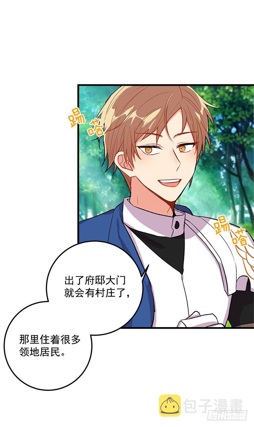 精灵石25