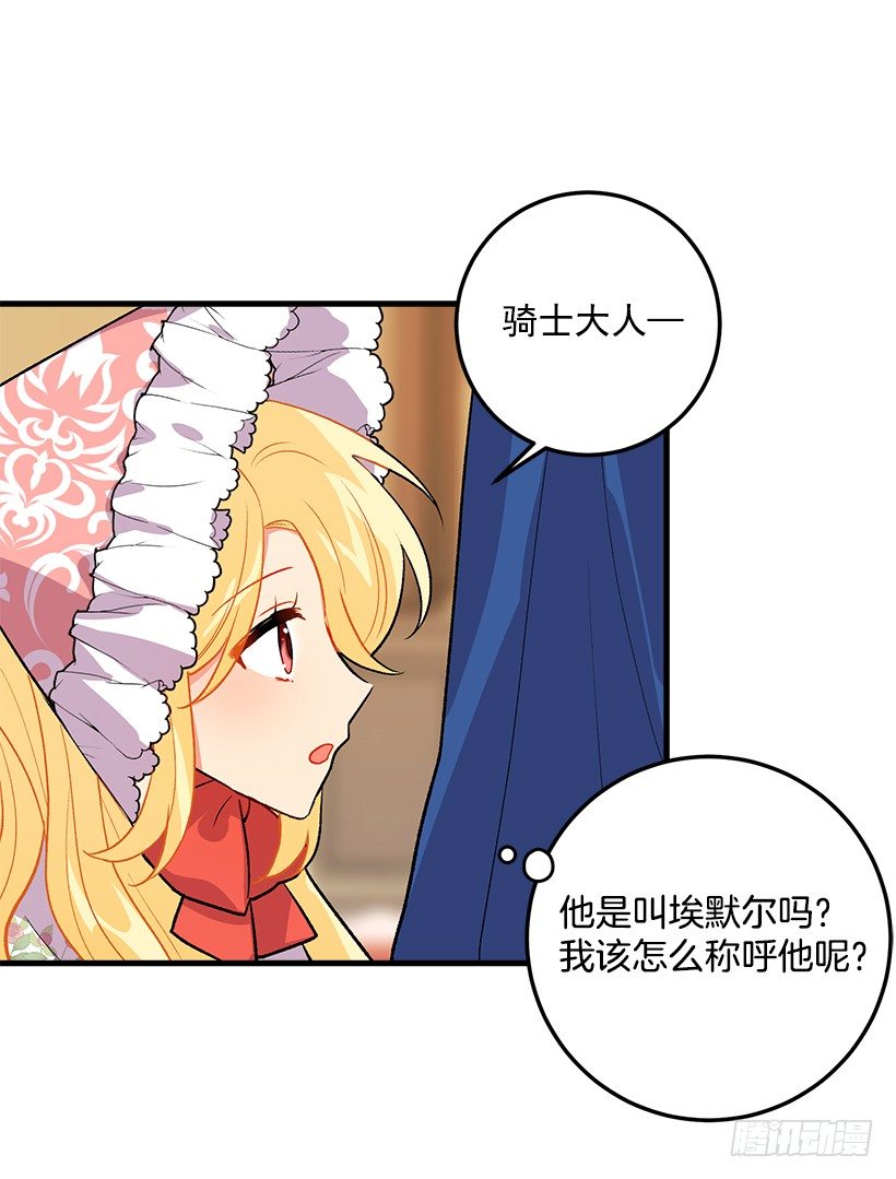 贴身骑士埃默尔3
