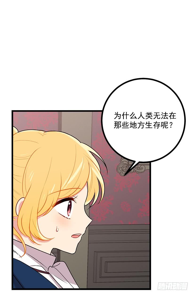 47.精灵的护佑36