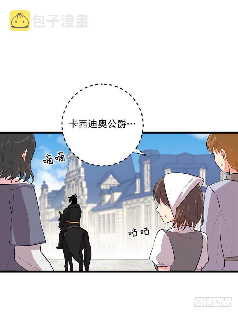 44.公爵的秘密17