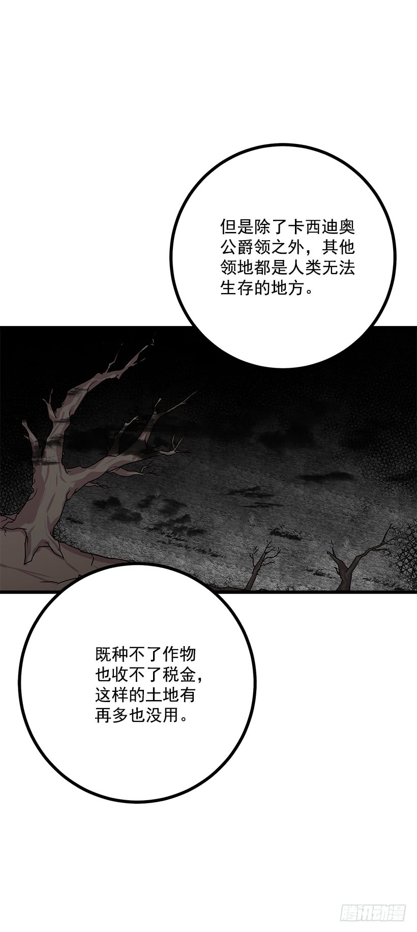 47.精灵的护佑35