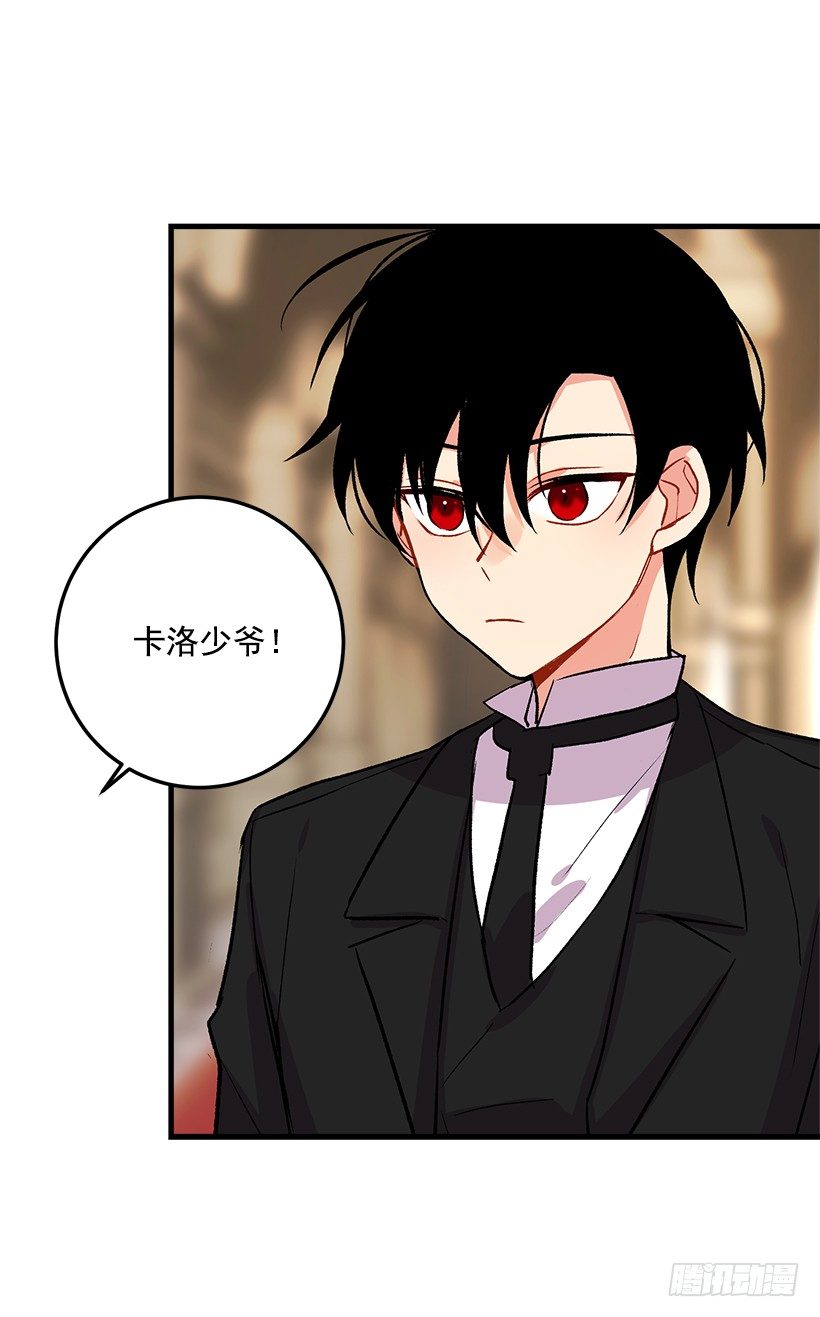 贴身骑士埃默尔26