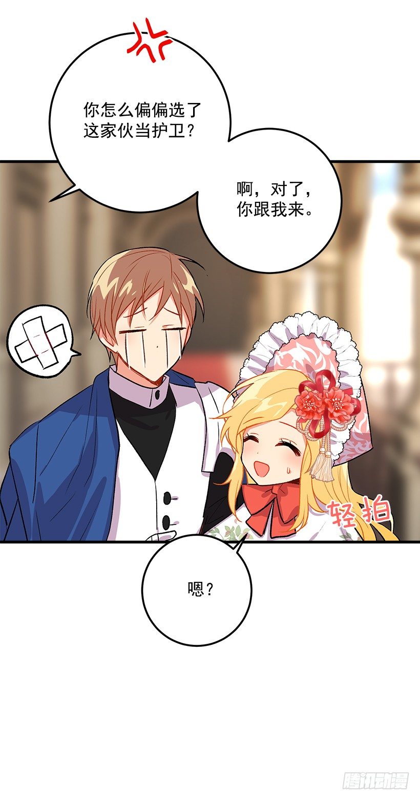 贴身骑士埃默尔41