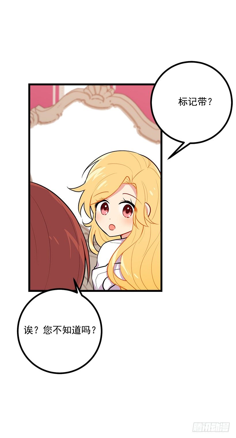 狩猎大会的标记带30