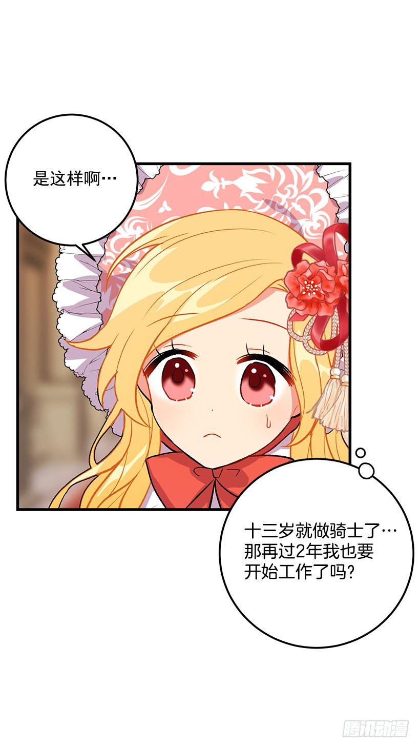 贴身骑士埃默尔9