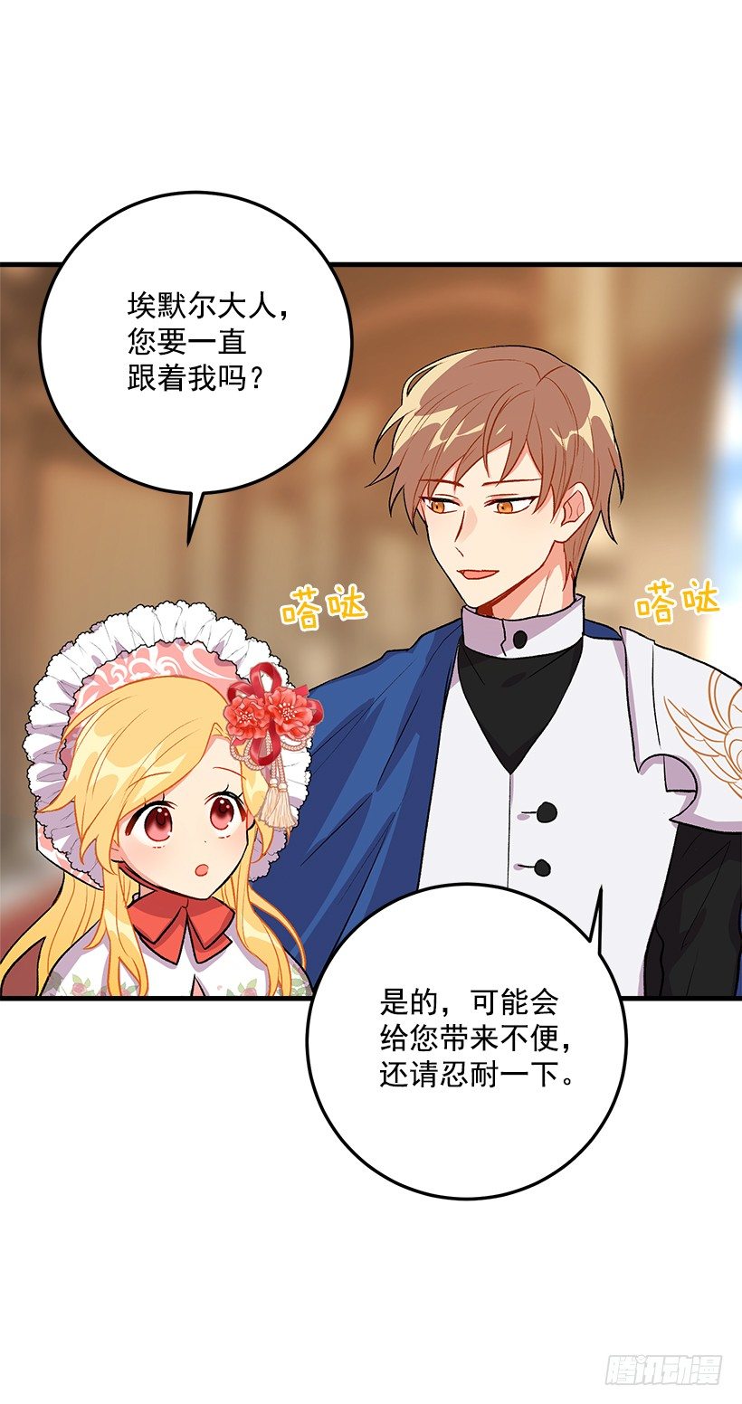 贴身骑士埃默尔6