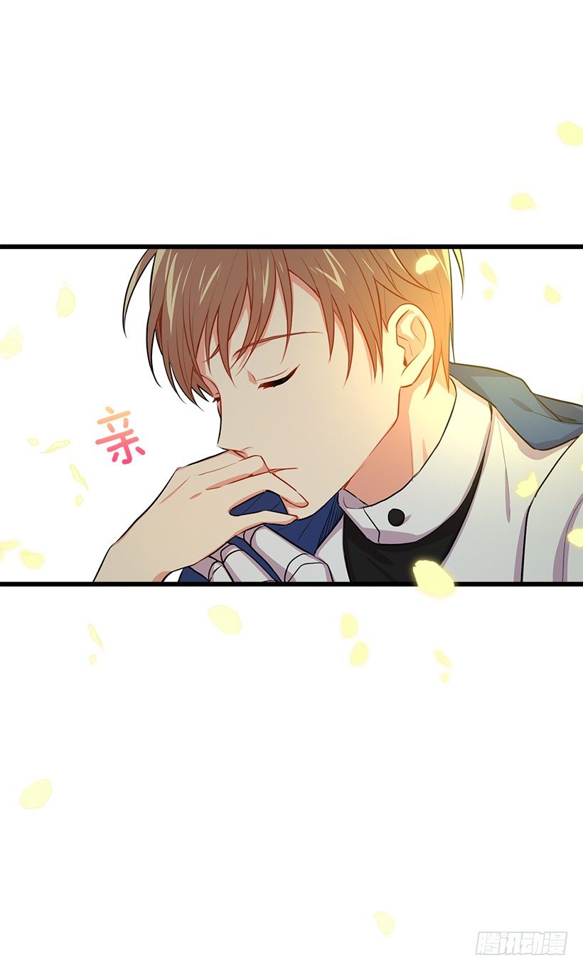 新护卫48