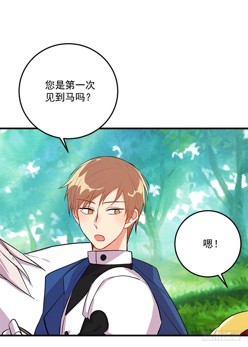 精灵石5