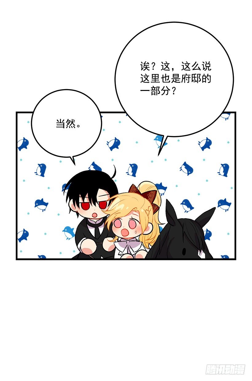 精灵石26