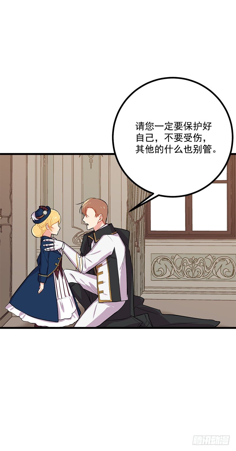 埃默尔的嘱托27