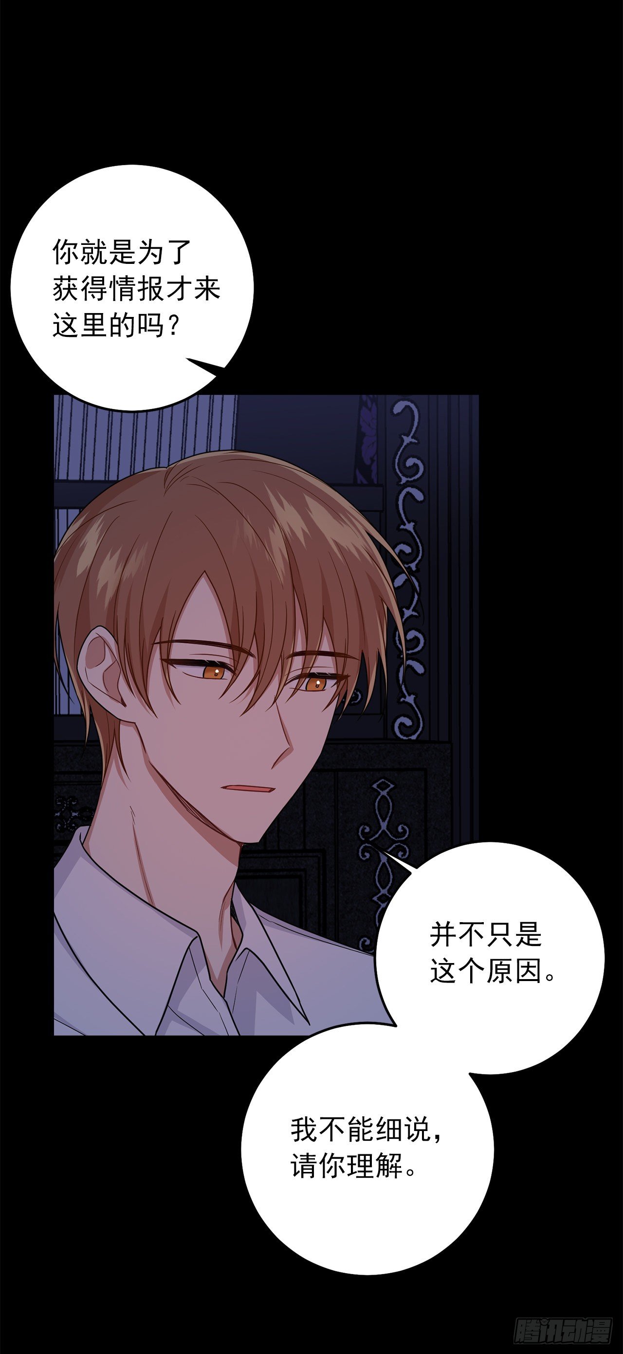 215.皇女的订婚宴2