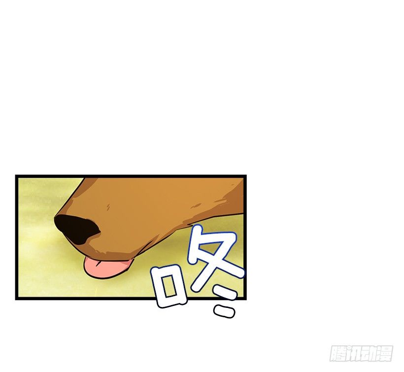 熊11