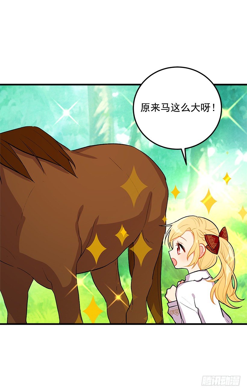 精灵石4