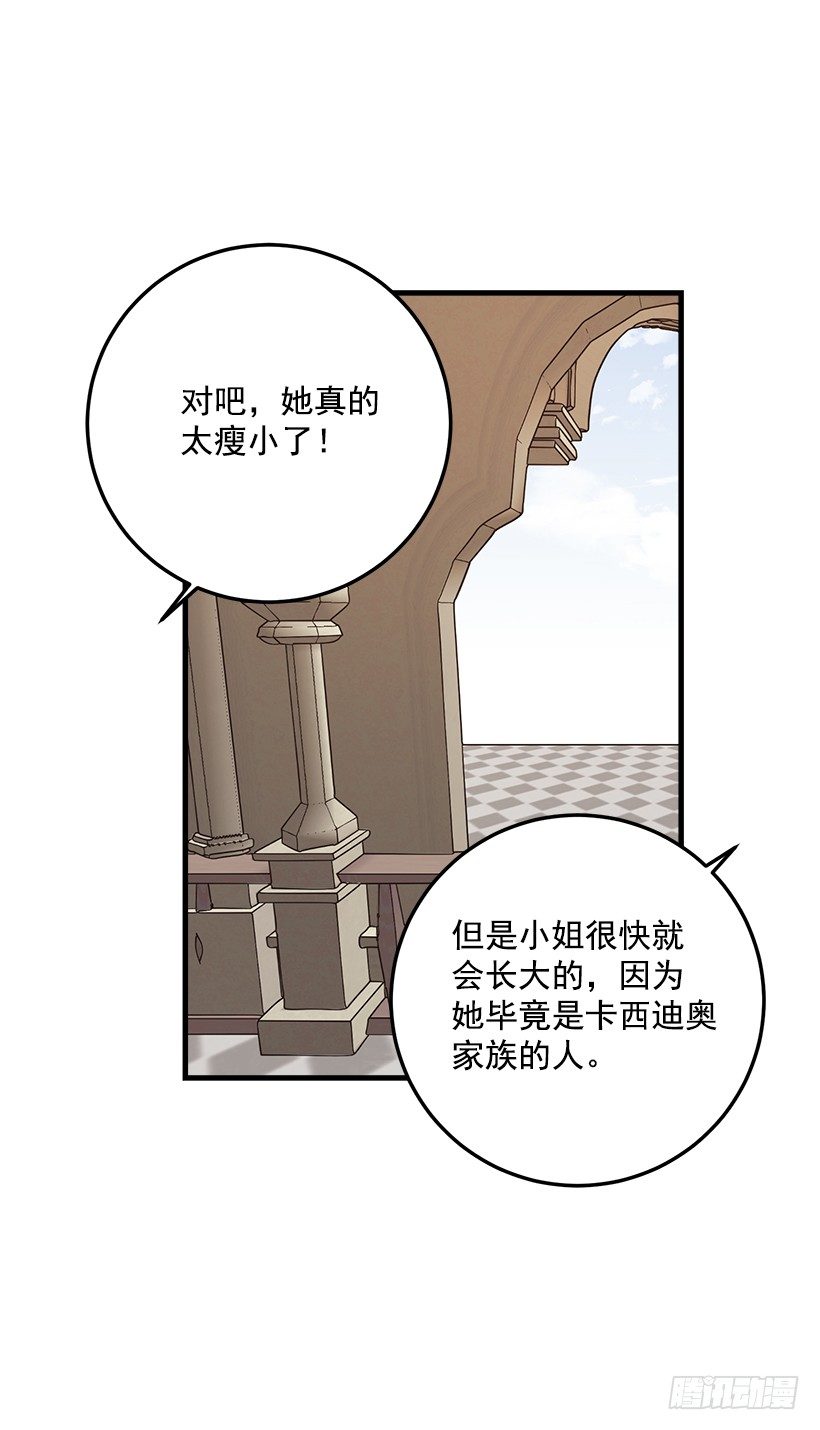 贴身骑士埃默尔38