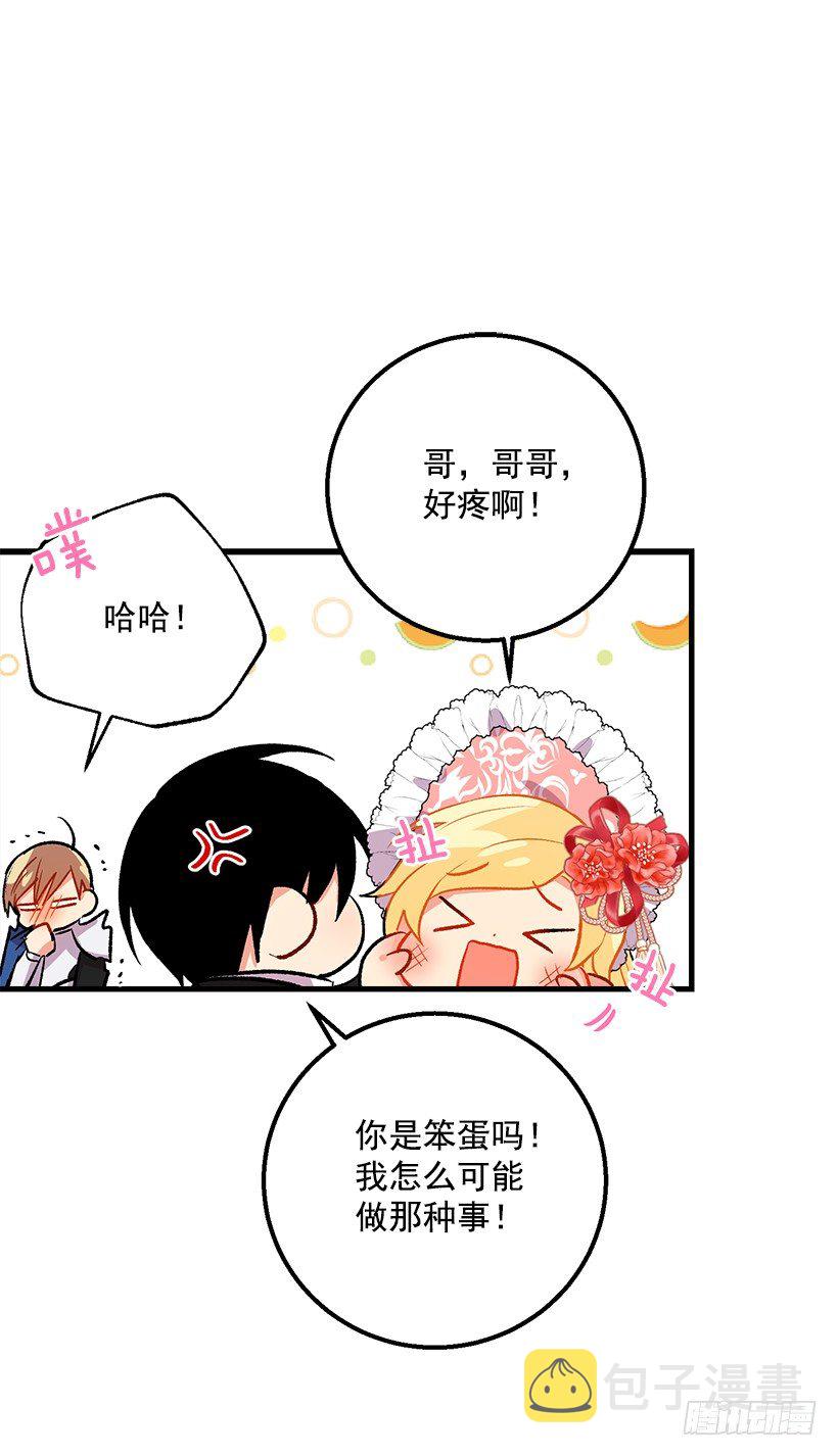 贴身骑士埃默尔34