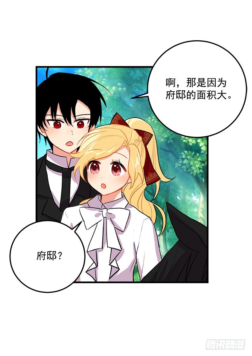 精灵石24