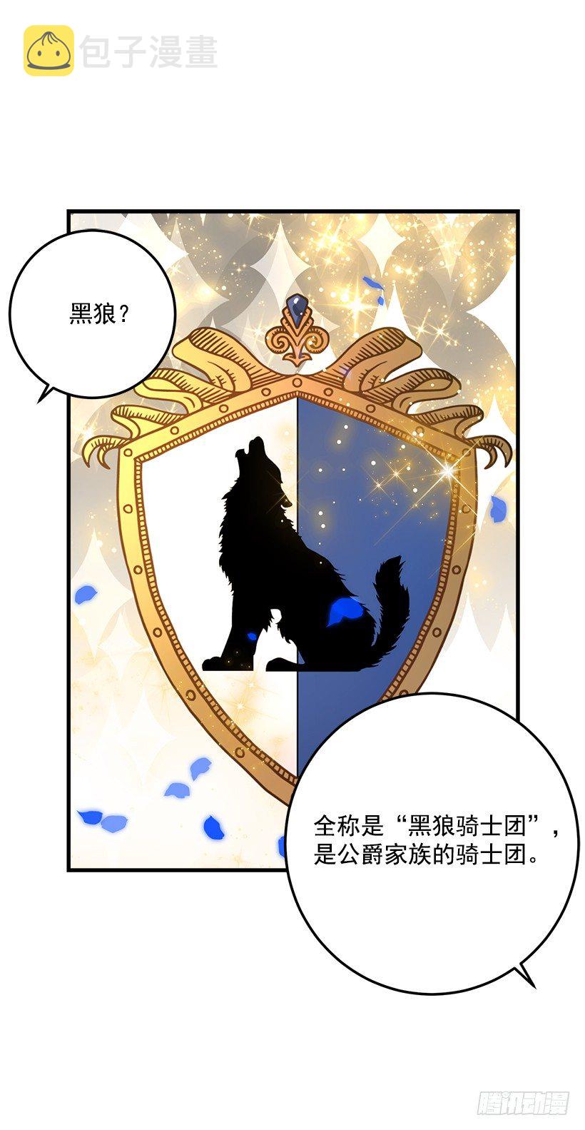 贴身骑士埃默尔8