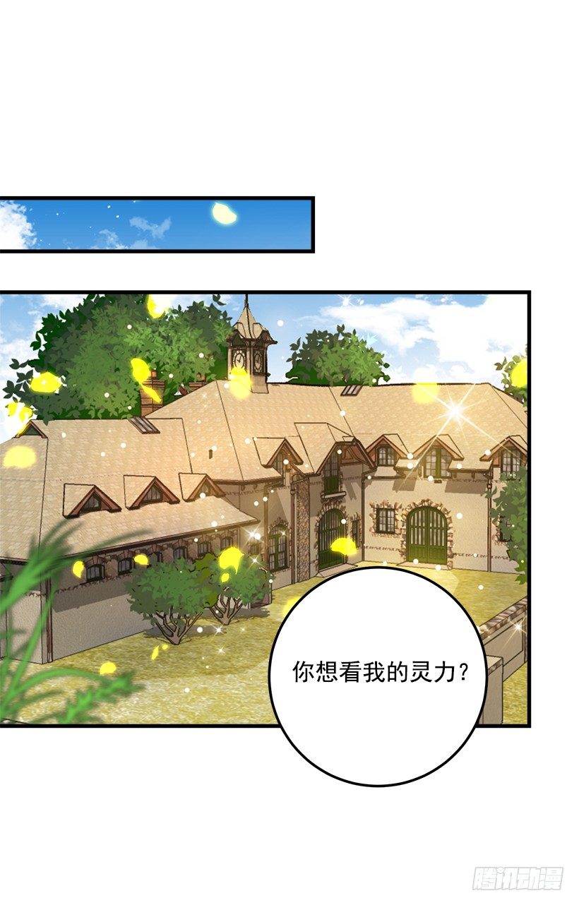 灵力25