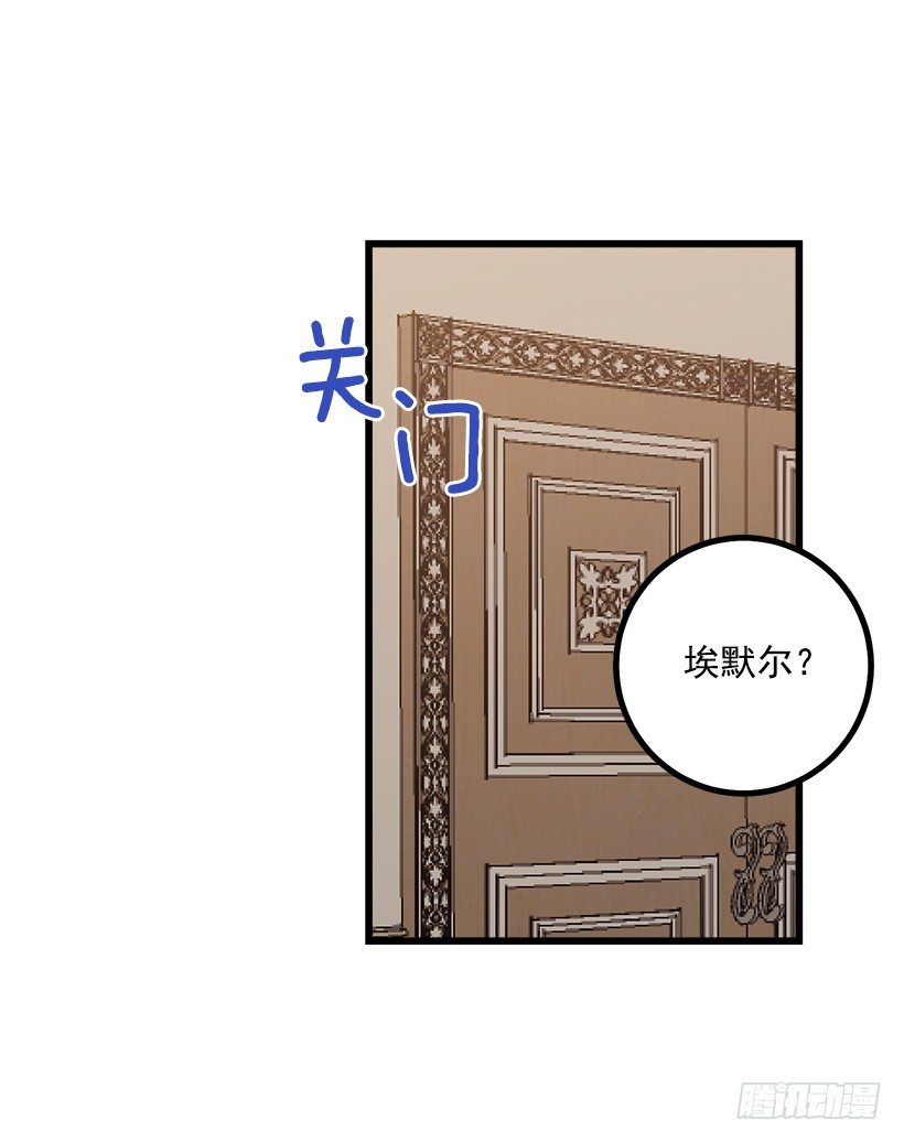 埃默尔的嘱托23