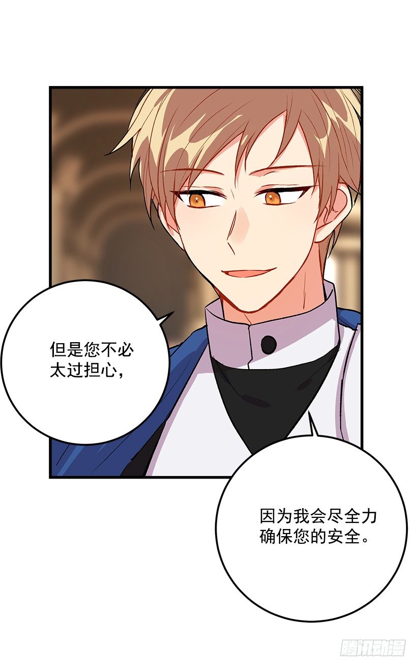 贴身骑士埃默尔11