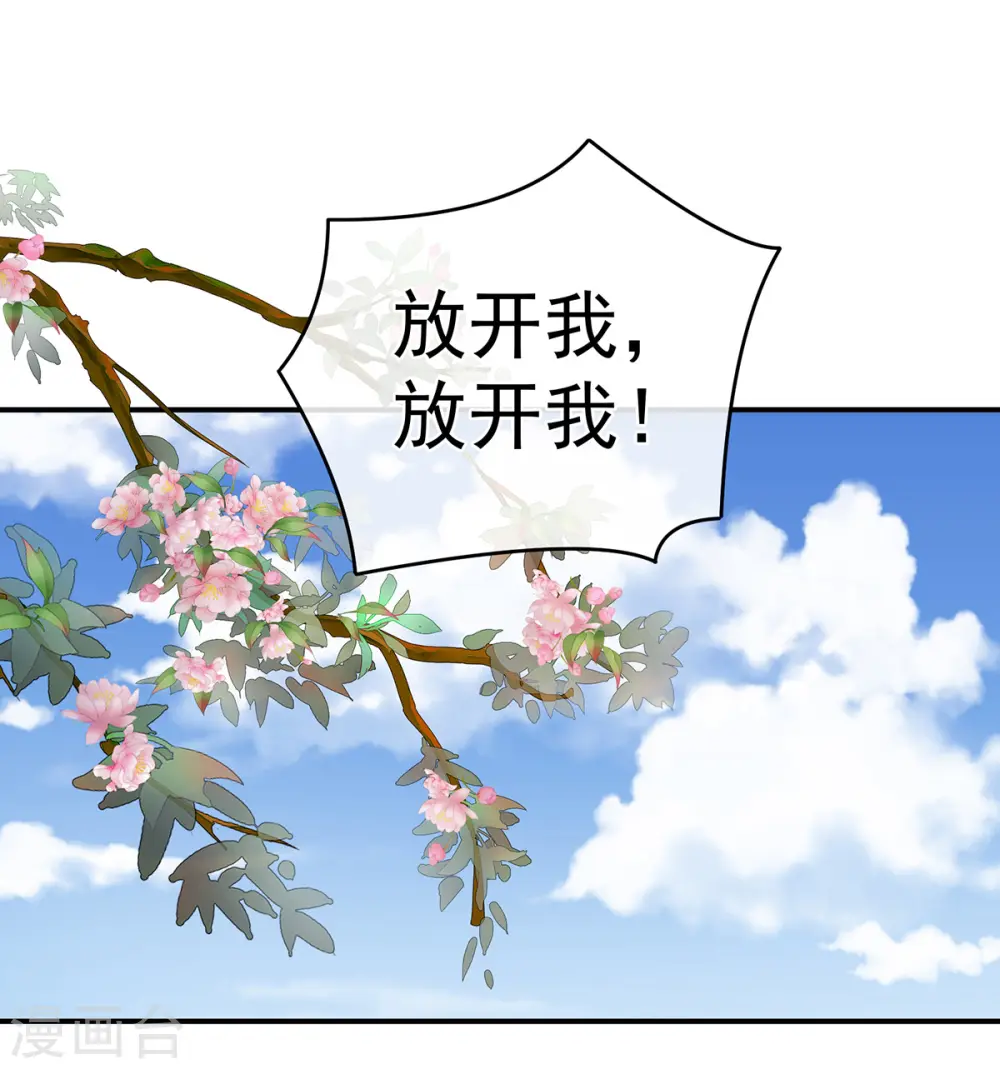 第337话 心疼5