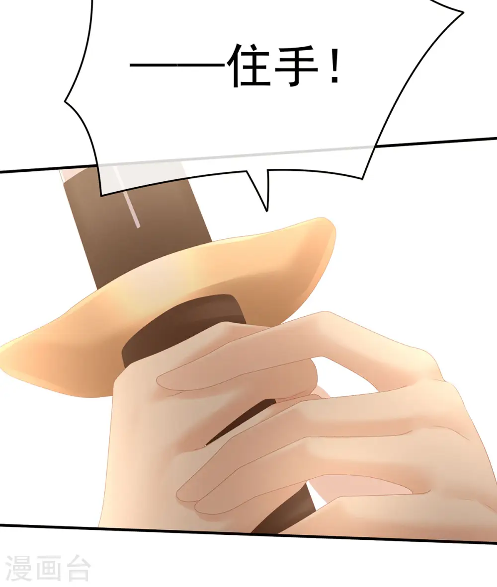 第199话 宁王夫要换人？11