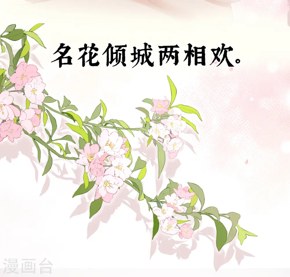 第381话 名花倾国两相欢（下）41