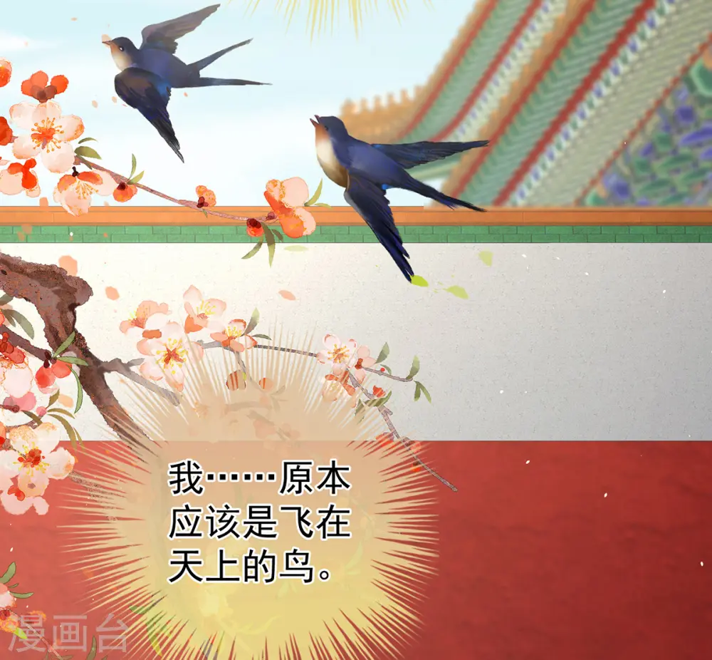 第341话 笼中鸟13