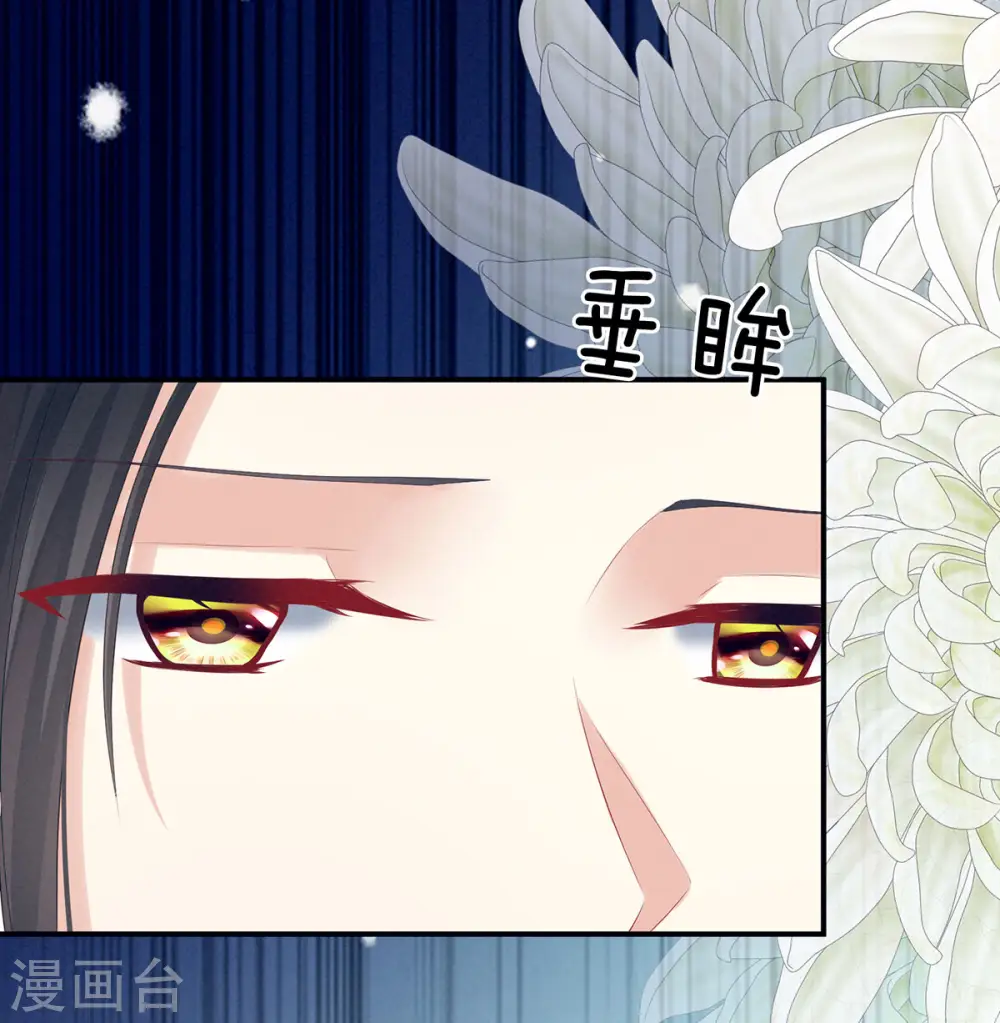 第205话 她不是我的妻主6