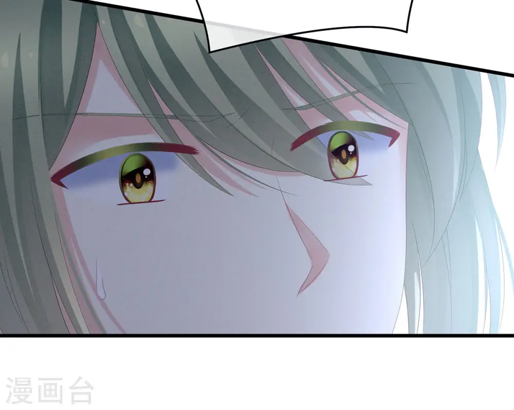 第199话 宁王夫要换人？39