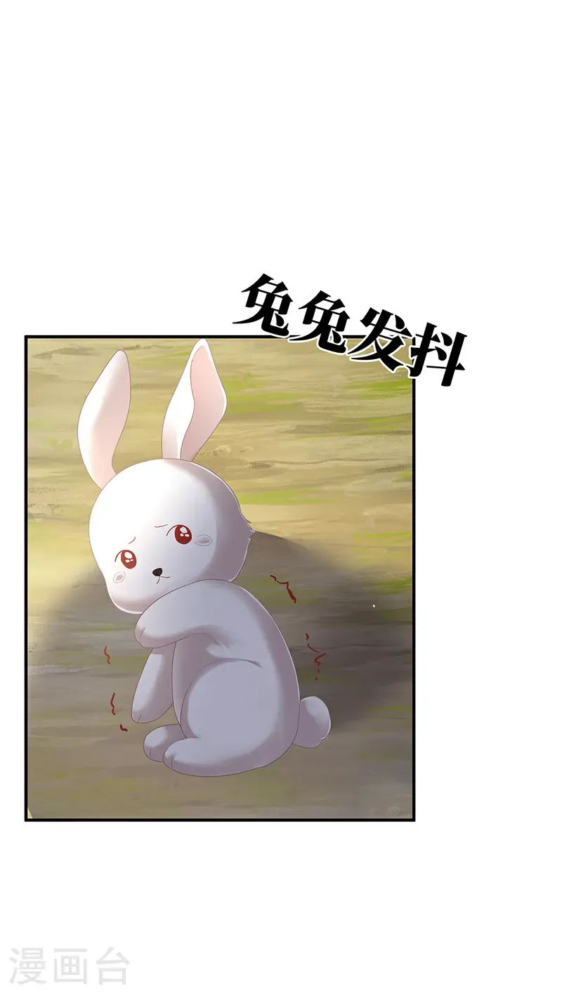 第二季第66话 特别的参赛选手19