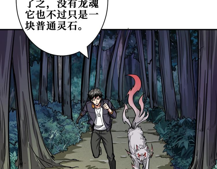 第204话 强者的博弈68