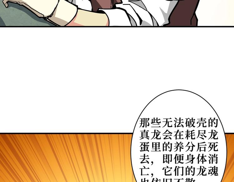 第223话 集齐七颗龙珠！15