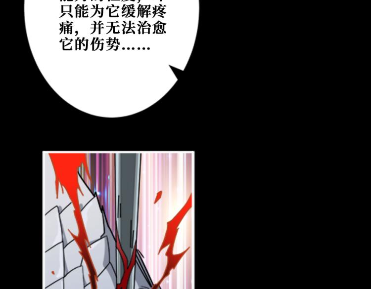 第262话 秘境过往26