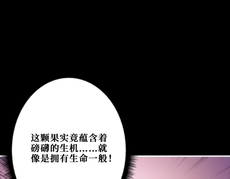 第262话 秘境过往42