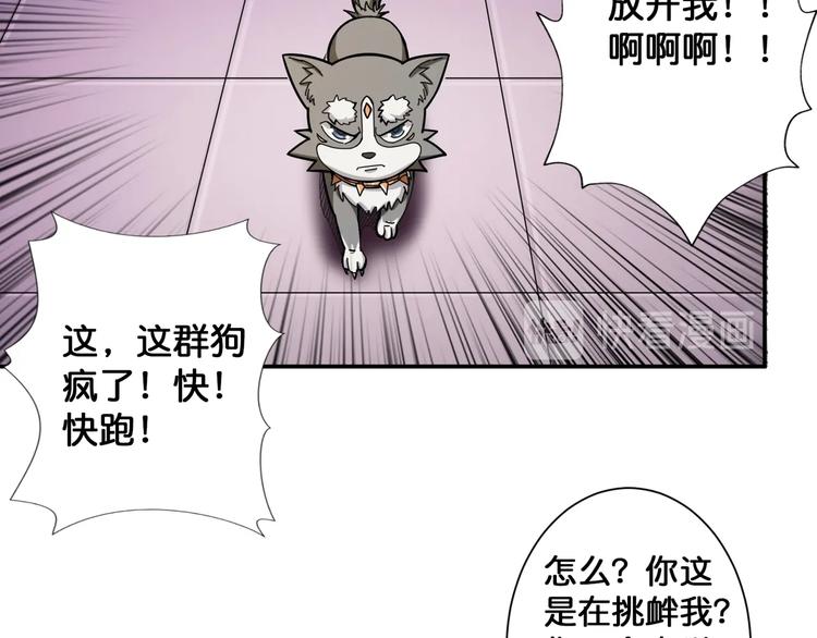 第102话 你想变强吗?9