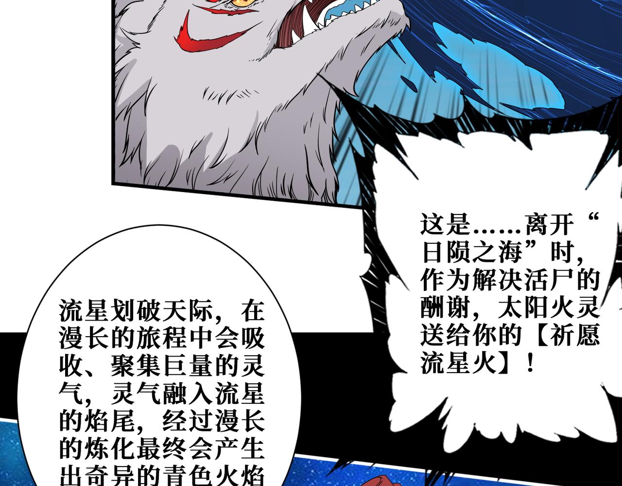 第404话 祈愿流星火5