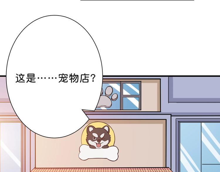 第155话 最好的归宿29