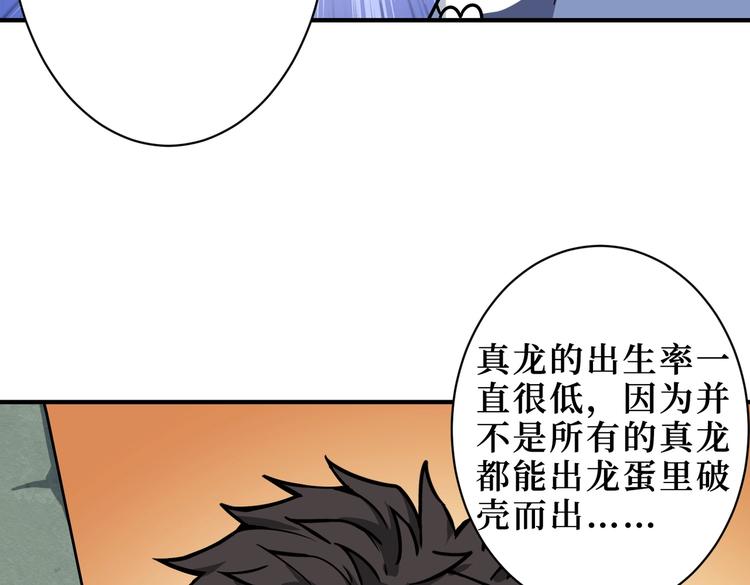 第223话 集齐七颗龙珠！13