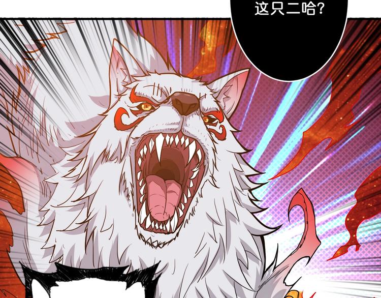 第60话 你的身世63