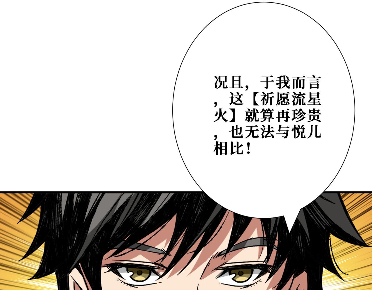 第404话 祈愿流星火13