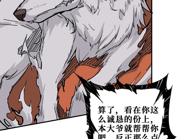 第253话 伙伴.24