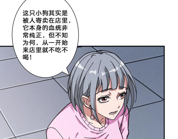 第66话 老祖58