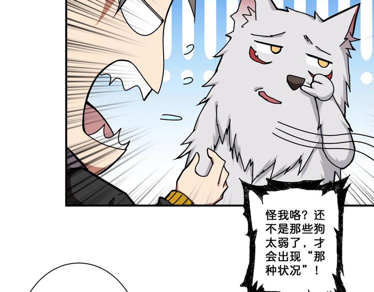 第65话 女神的邀请*264